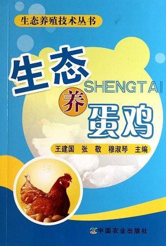 生态养蛋鸡