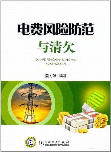 供电企业常见法律风险防范与处理丛书 电费风险防范与清欠