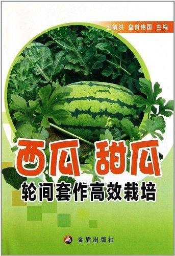 西瓜甜瓜轮间套作高效栽培