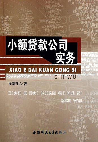 小额贷款公司实务