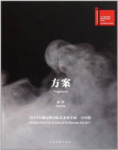 方案