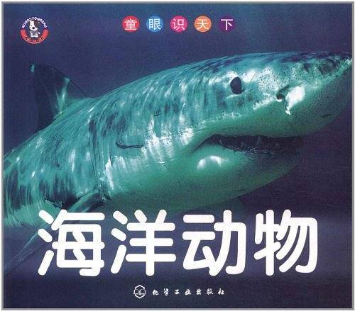 童眼识天下