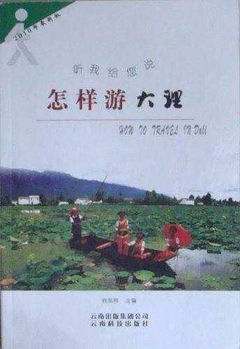 怎样游大理
