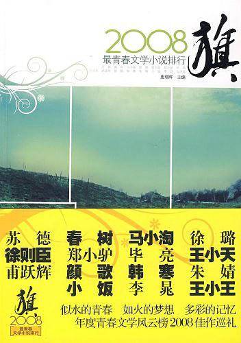 旗：2008最青春文学小说排行