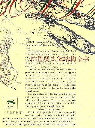 伯里曼人体结构全书