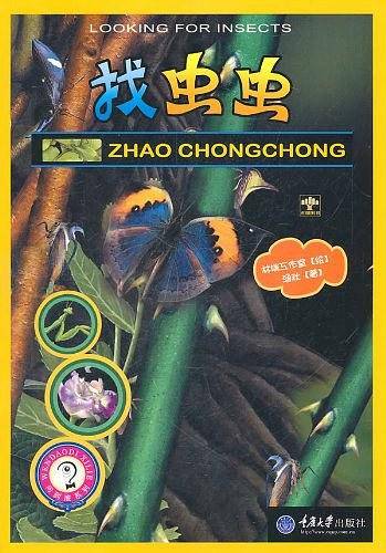 找虫虫