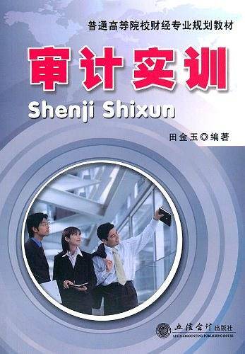 审计实训