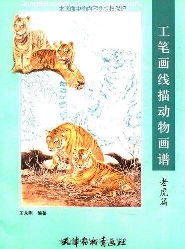 工笔画线描动物画谱