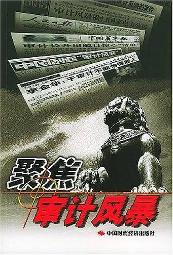 聚焦审计风暴