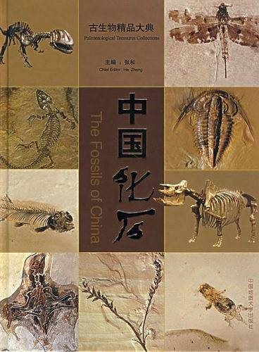 中国化石
