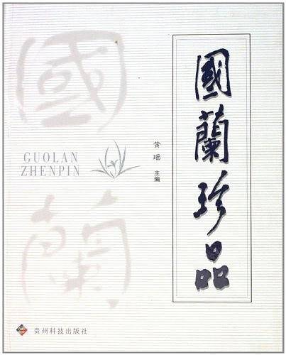 国兰珍品
