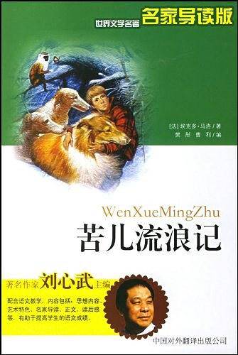 苦儿流浪记