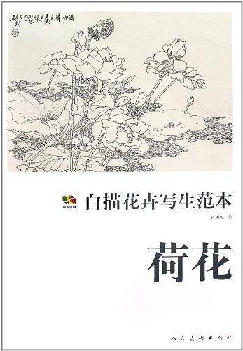 荷花-白描花卉写生范本