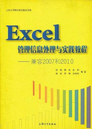 Excel管理信息处理与实践教程