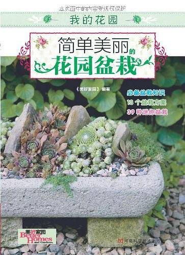 简单美丽的花园盆栽