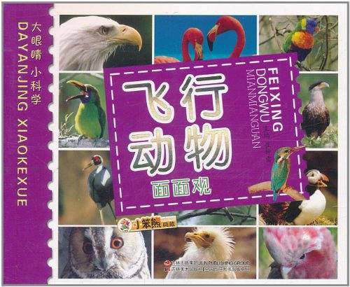 飞行动物面面观
