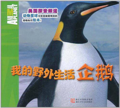 我的野外生活