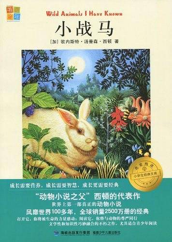 小战马