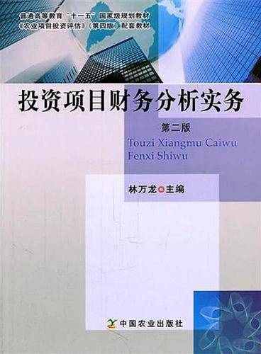 投资项目财务分析实务