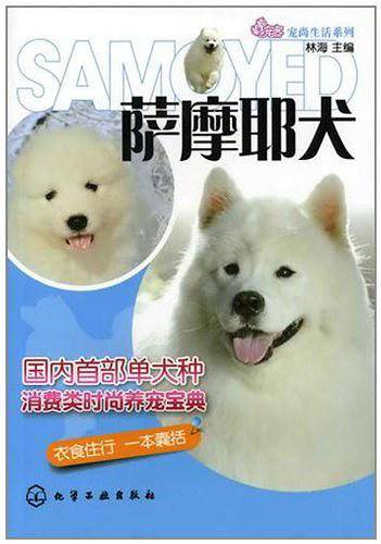 宠尚生活系列