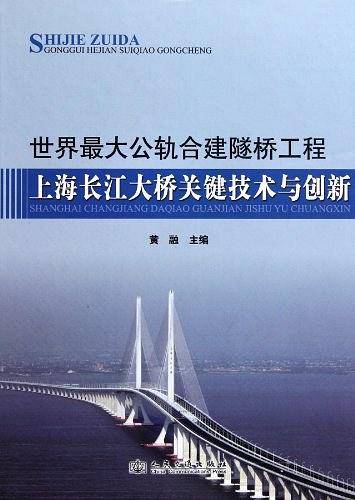 世界最大公轨合建隧桥工程