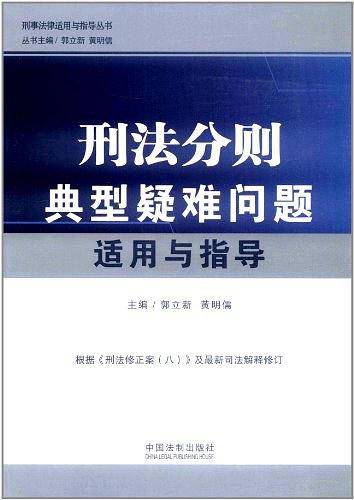 刑法分则典型疑难问题适用与指导——刑事法律适用与指导丛书