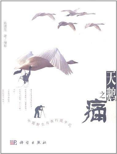 天鹅之痛