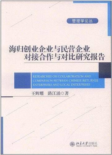 海归创业企业与民营企业对接合作与对比研究报告