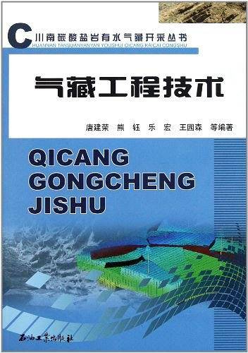 气藏工程技术