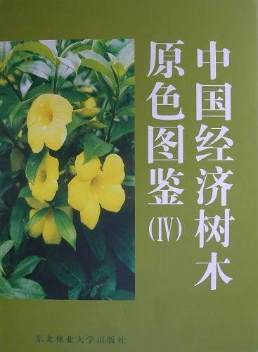 中国经济树木原色图鉴