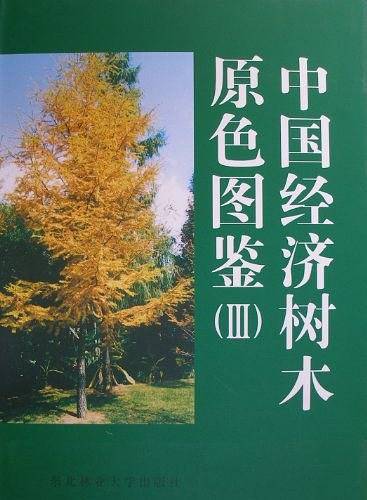 中国经济树木原色图鉴
