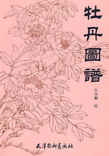 牡丹图谱