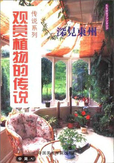 宝石的传说