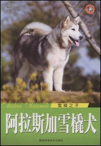 雪域之子
