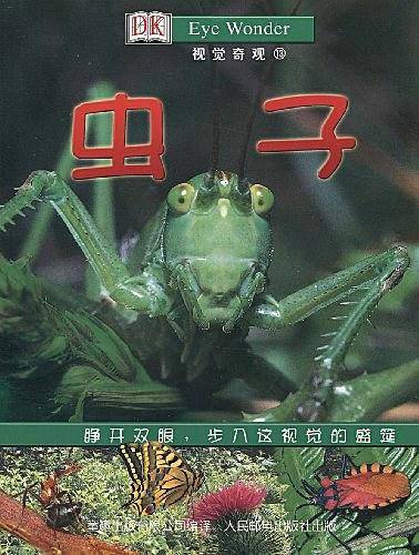爬行动物