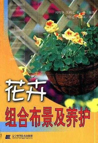 花卉组合布景及养护
