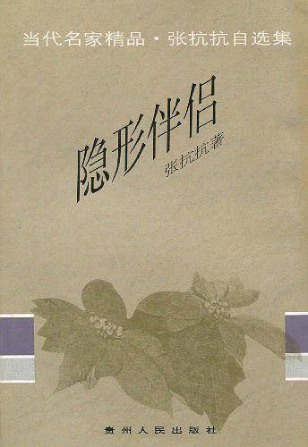 隐形伴侣