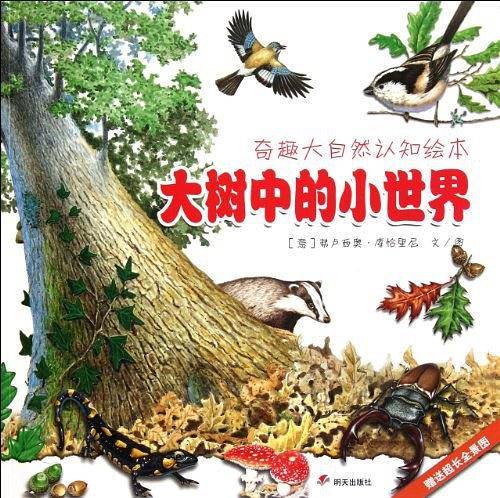 大树中的小世界