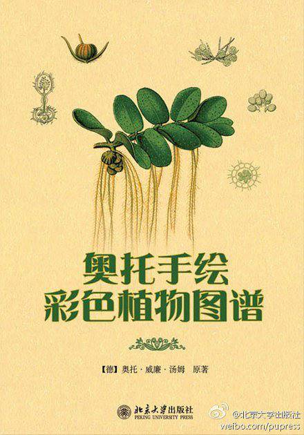 奥托手绘彩色植物图谱