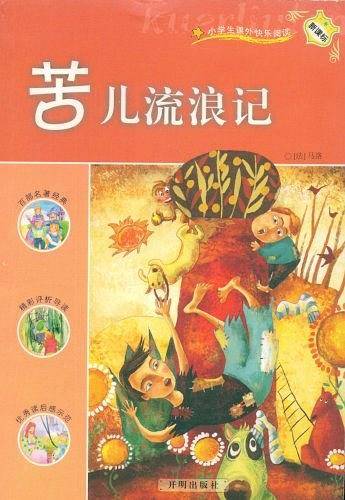 苦儿流浪记
