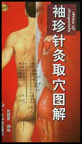 袖珍针灸取穴图解