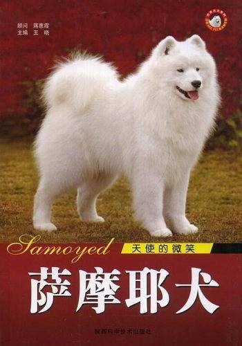 哈士奇  极地英雄