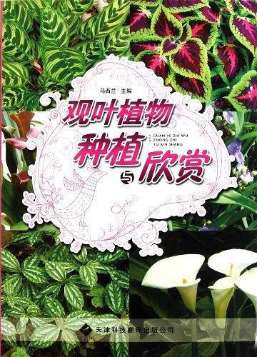 观叶植物种植与欣赏