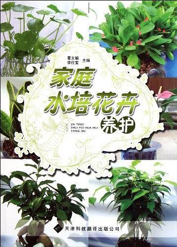 家庭水培花卉养护