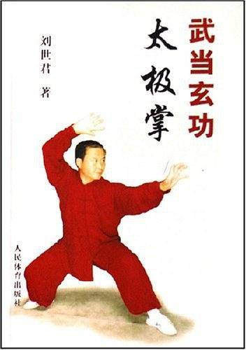 武当玄功：太极掌