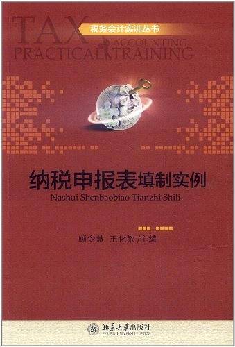税务会计实训丛书—纳税申报表填制实例