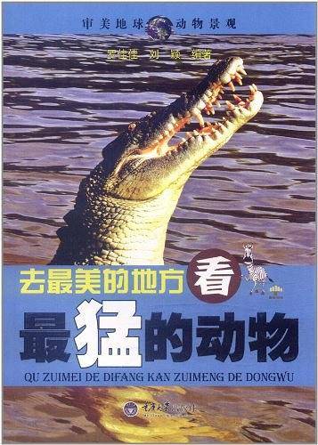 去最美的地方，看最猛的动物