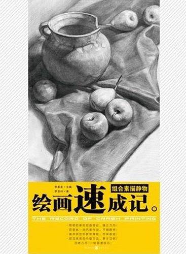绘画速成记—《组合素描静物》