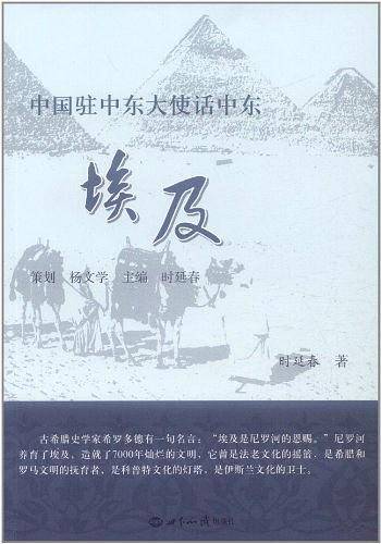 中国驻中东大使话中东埃及