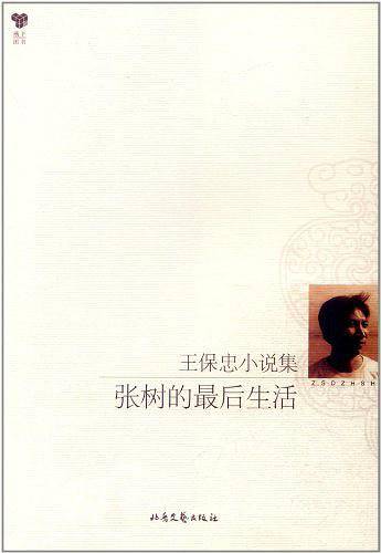 王保忠小说集
